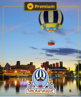 *Billet Adulte (12 ans et...