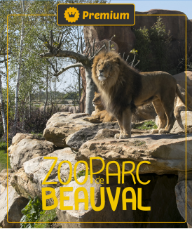 *Billet Enfant (3/10 ans)...