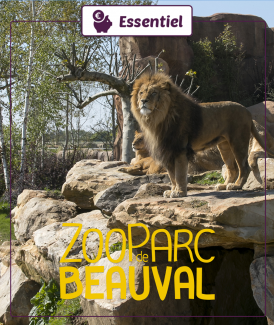 Billet Enfant (3/10 ans)...