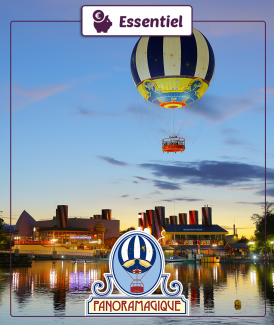 Billet Adulte (12 ans et +)...