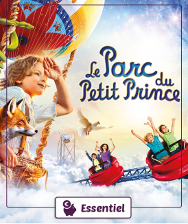 Billet Adulte (12 ans et +)...