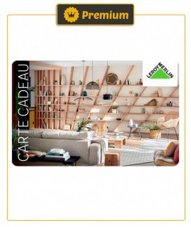 *Carte cadeau Leroy Merlin...