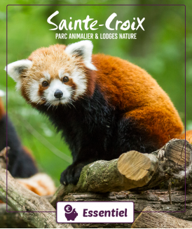 Billet Enfant(3/11 ans) non...