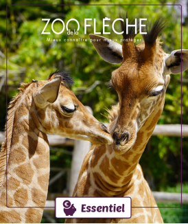 Billet Adulte (12 ans et +)...