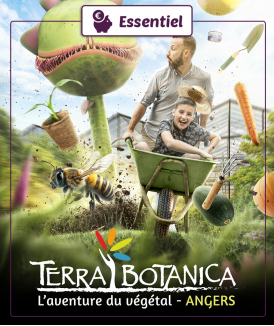 Billet Adulte (18 ans et +)...