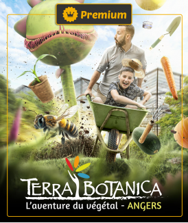 *Billet Enfant (3 à 17 ans)...