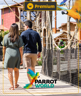 *Billet Enfant (3/11 ans)...