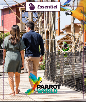 Billet Enfant (3/11 ans)...