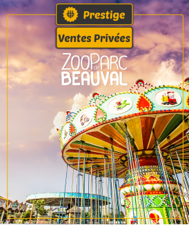 *Billet Adulte non daté 1...